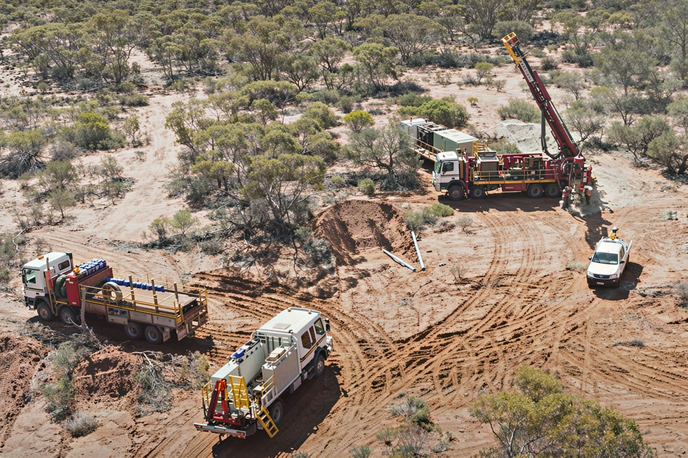 KalGold strikes high-grade gold in WA elephant country