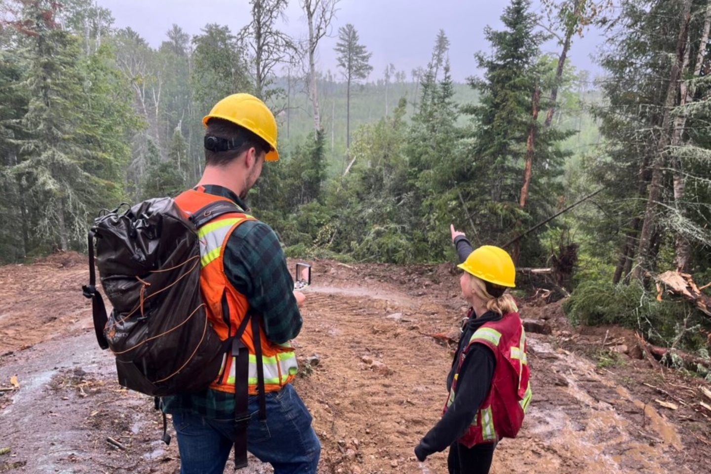Critical adds golden string to Canadian lithium bow