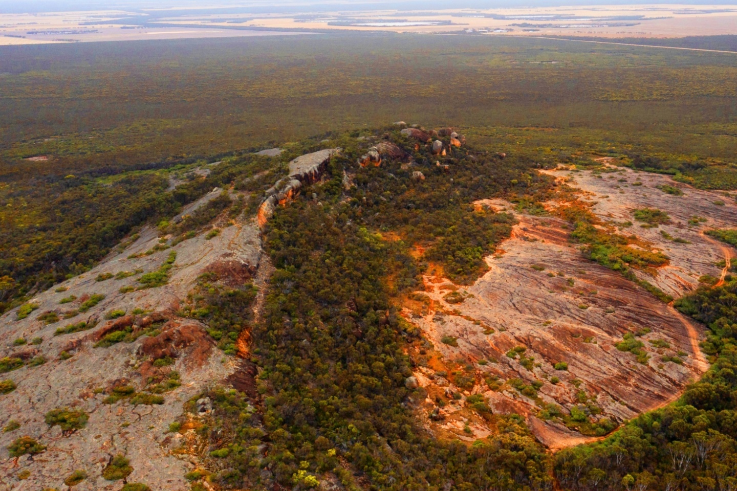 Mount Ridley kicks off WA critical metals processing testwork