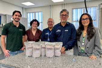 Viridis plugs into Brazilian mine-to-magnet supply chain