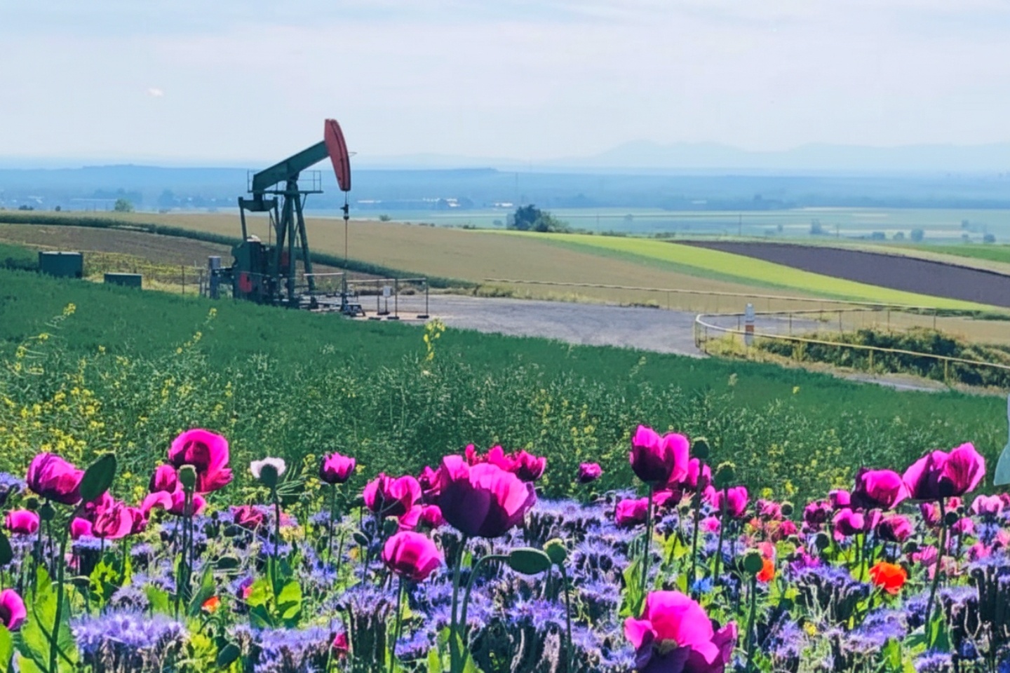 ADX boosts net oil production 35% with savvy Austrian field makeover