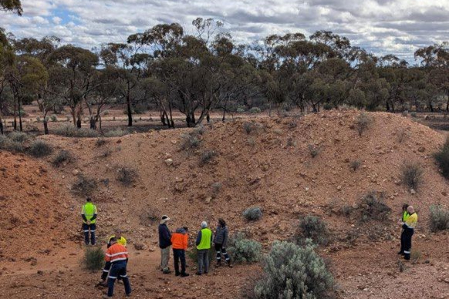 Ardea tweaks giant WA nickel study as scandium findings loom