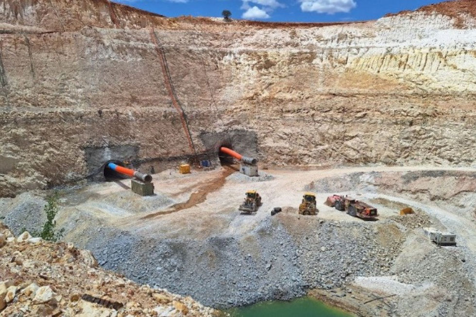 Venus to shower market with Rox shares in $10M dividend