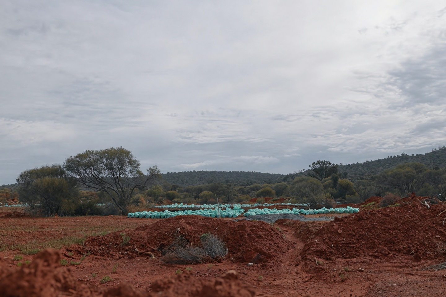 Terrain unleashes biggest-ever WA gold drill blitz
