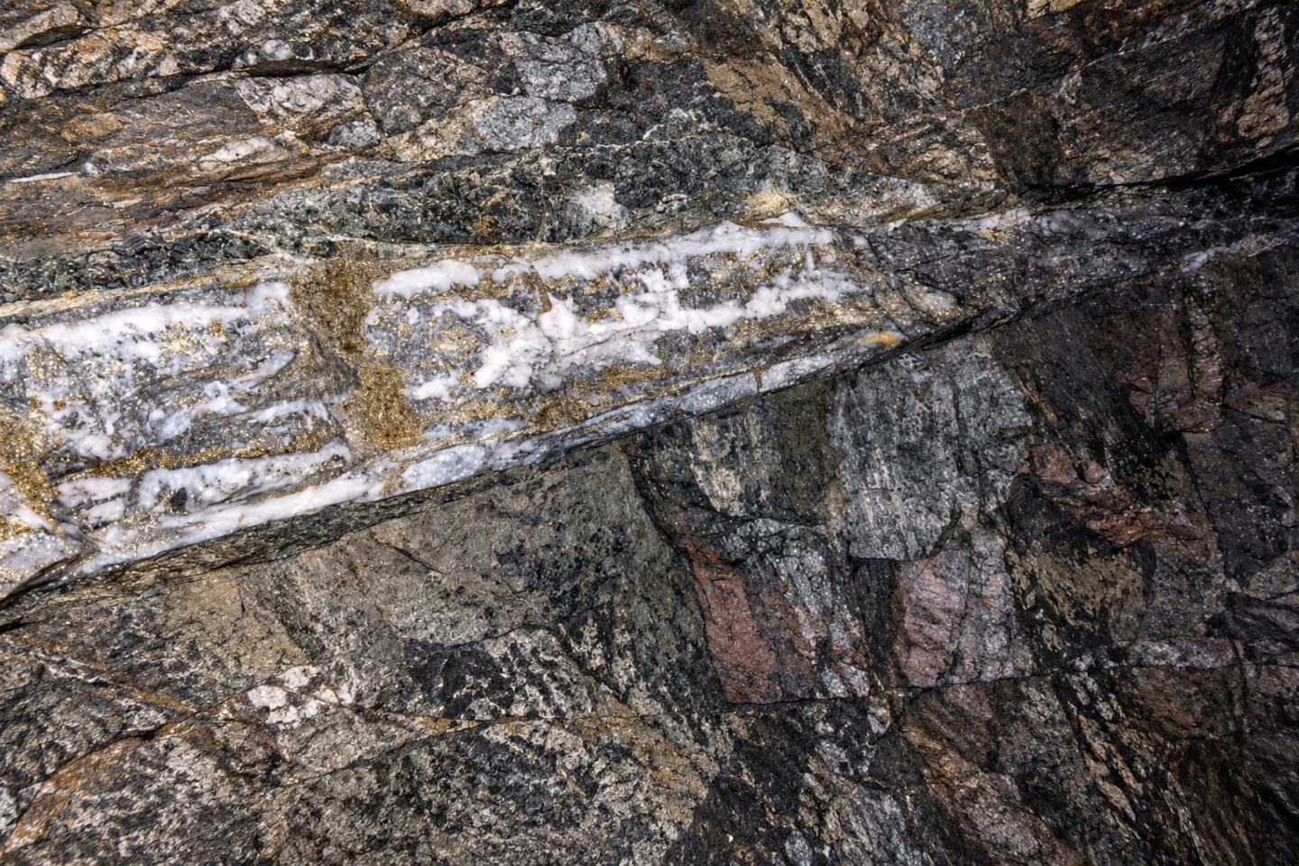 Aguia hits Colombia gold record and breaks even