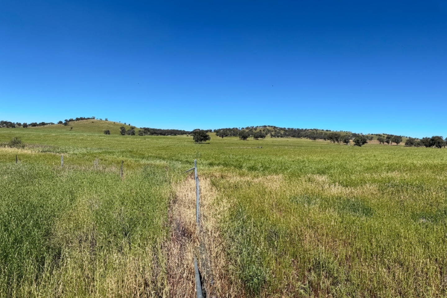Huge high-grade gold hit for Xpedra at emerging NSW play