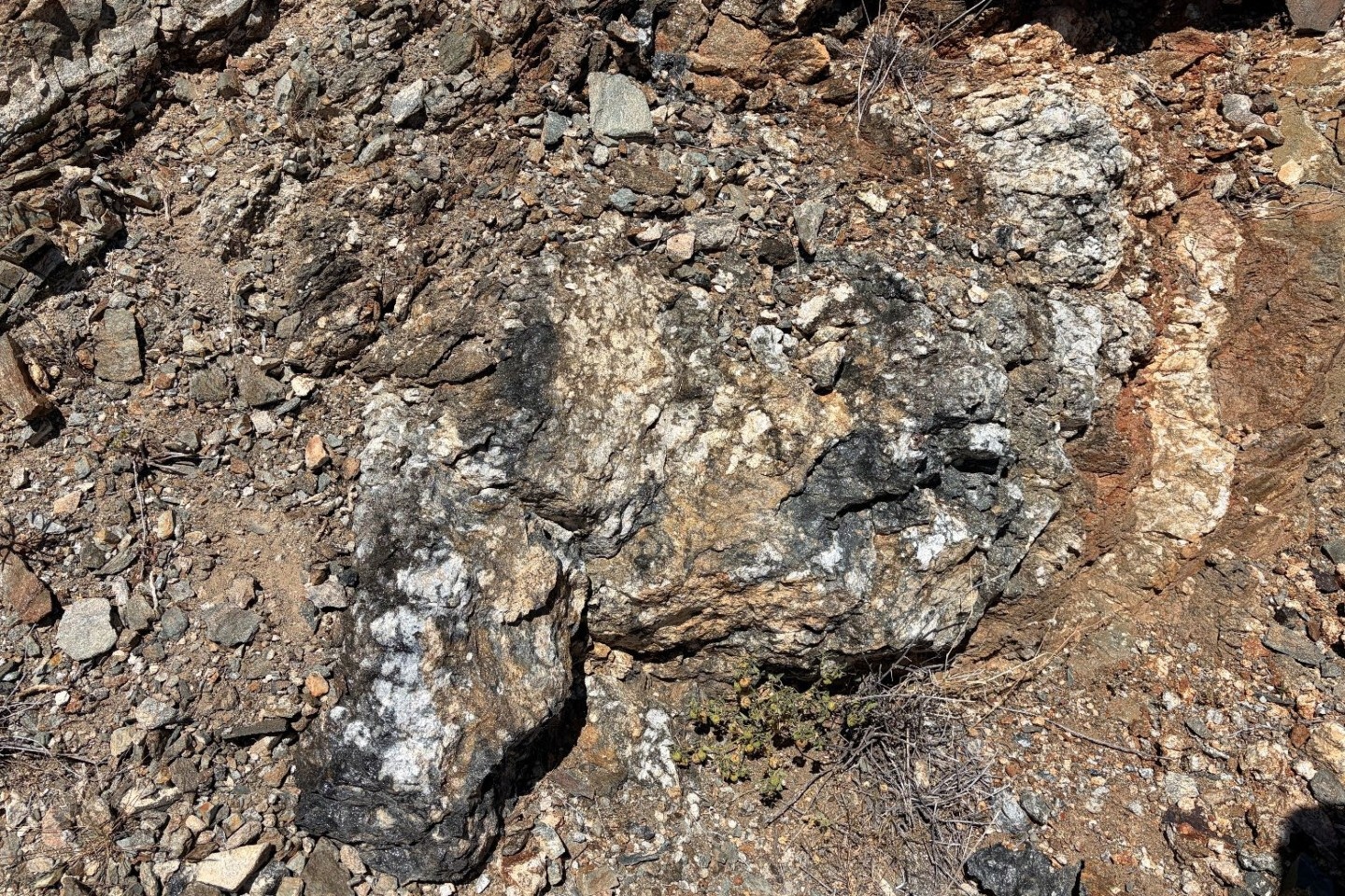 Dateline clocks 7.1 per cent rare earths in California
