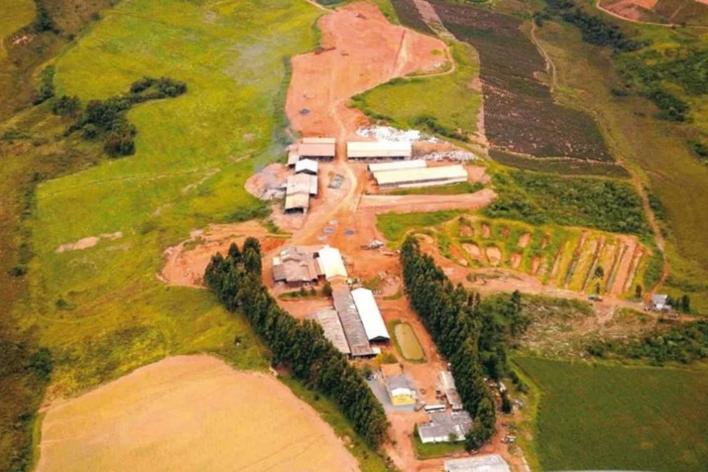 Viridis plugs into Brazilian grid for Colossus rare earths push