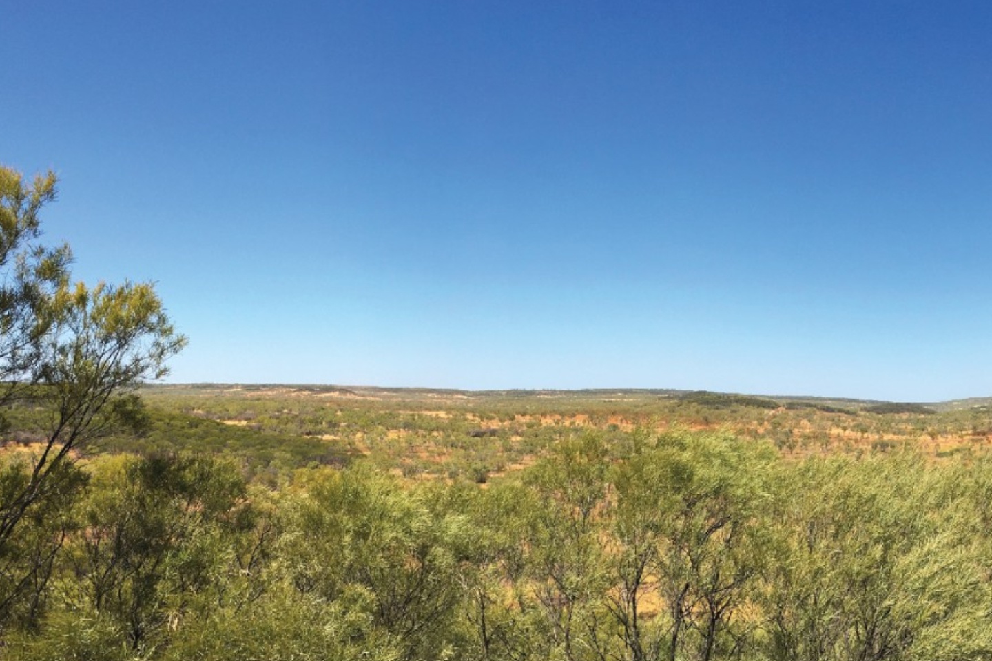 Barkly NT test cracks 99% magnet rare earths extraction
