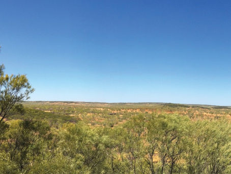 Barkly NT test cracks 99% magnet rare earths extraction