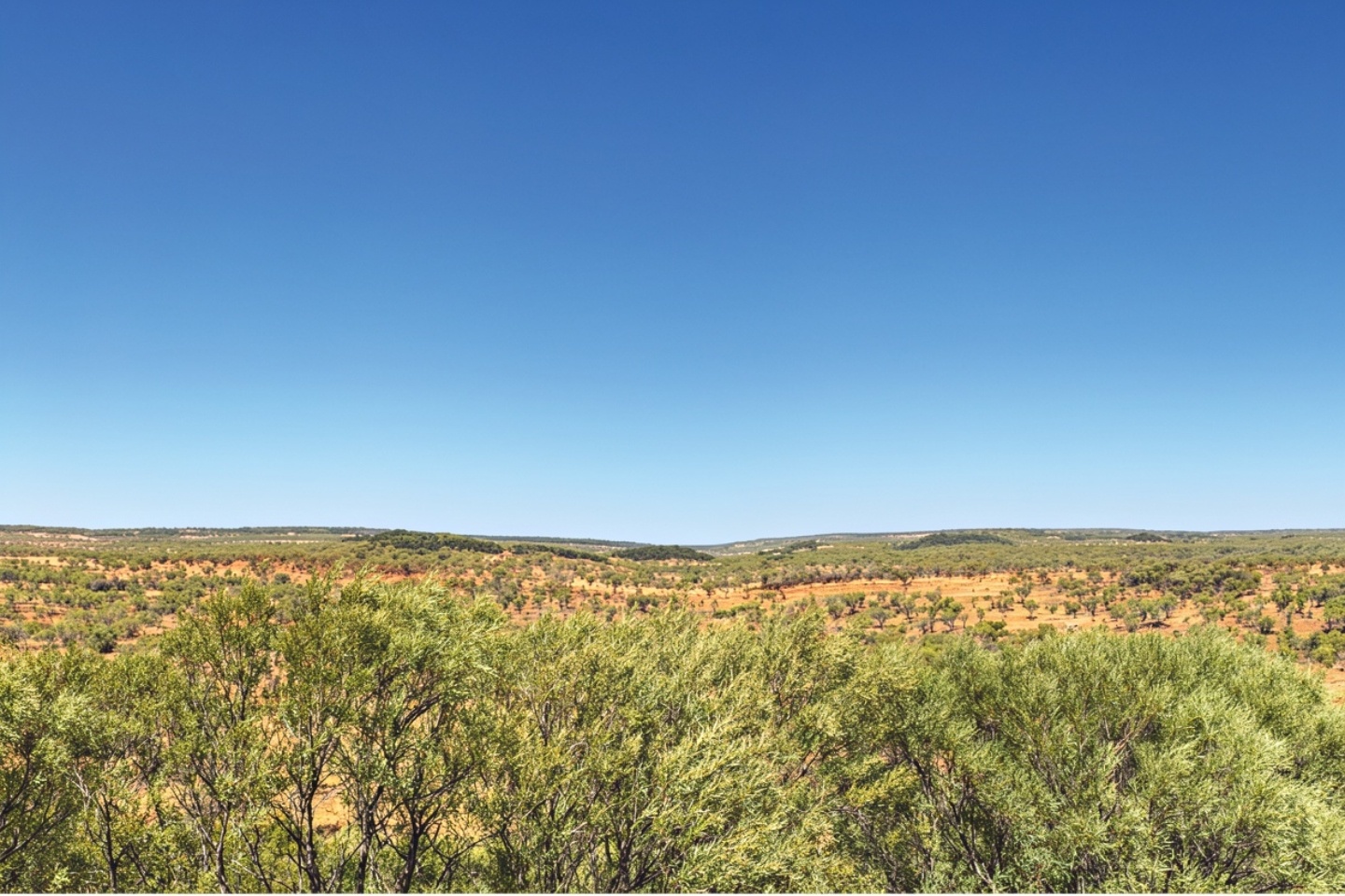 Barkly bags second NT Govt exploration grant