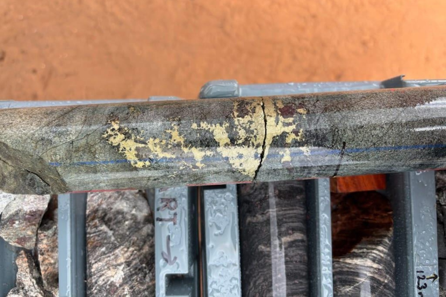 Litchfield boosts NT base metals case with broad drill hits