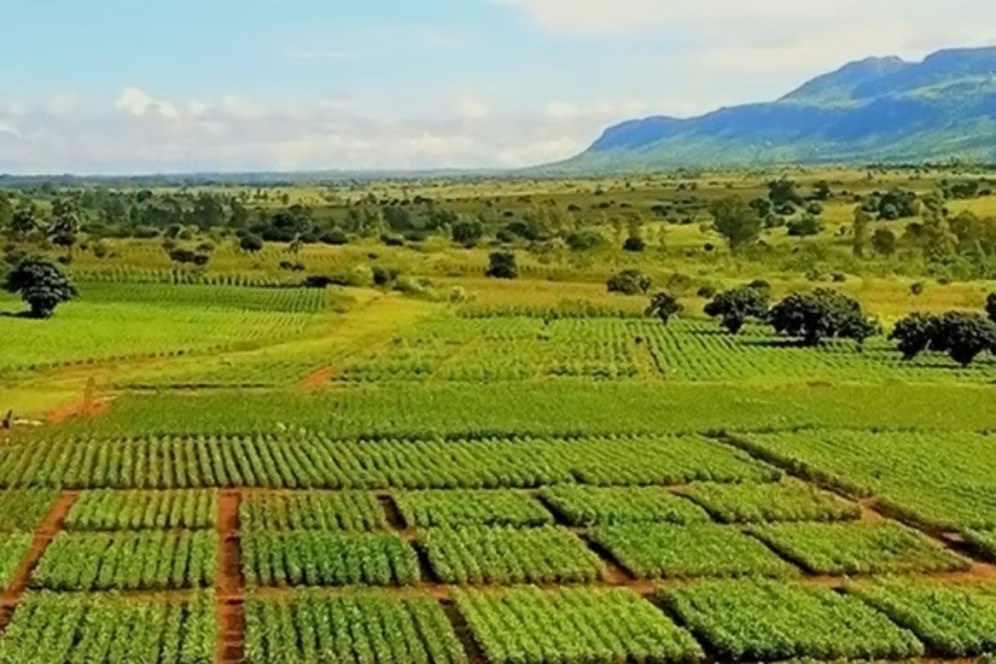 Aguia notches up $600k of Brazilian phosphate sales in two weeks