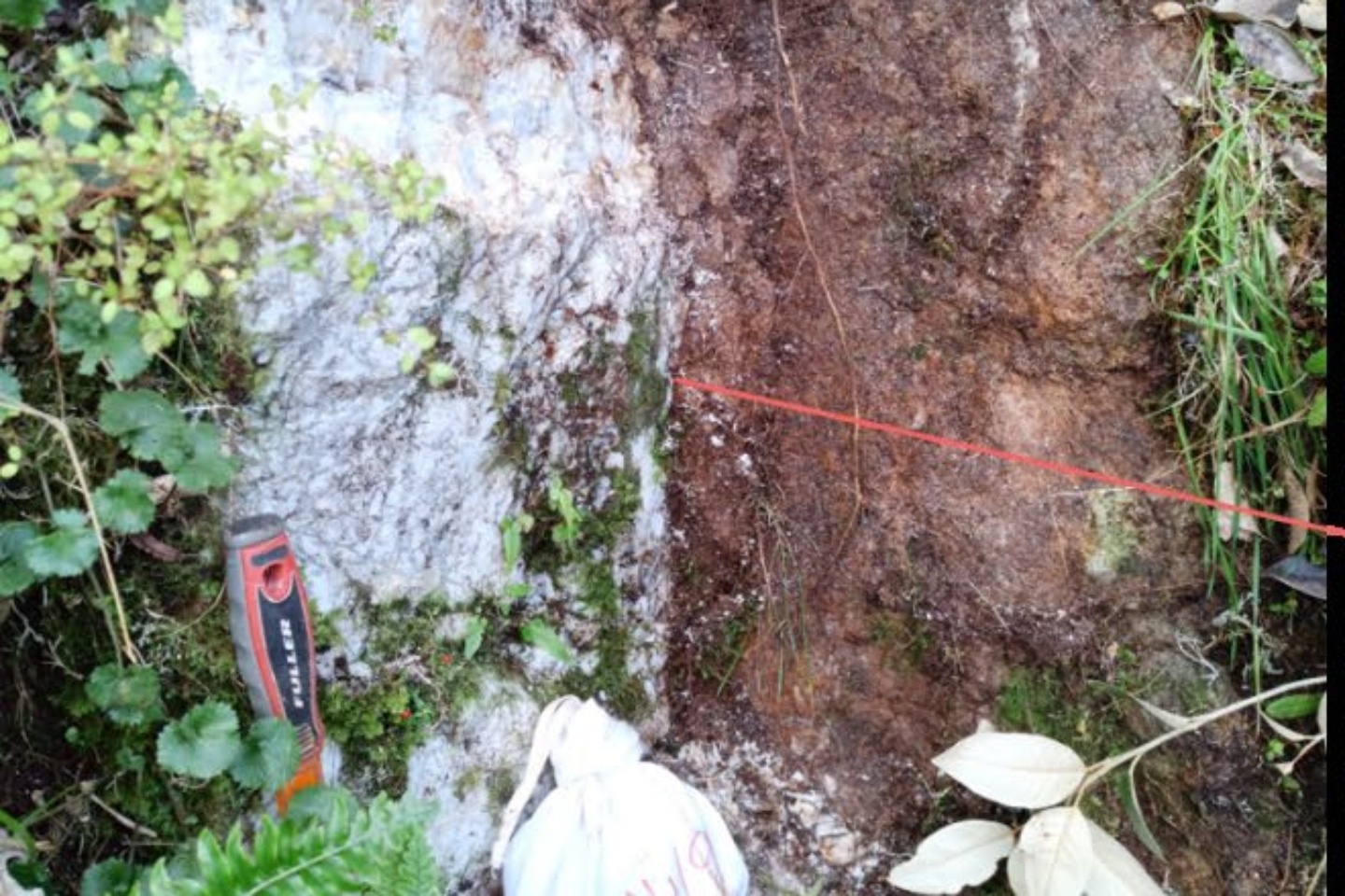 Critical Resources lights up NZ tungsten target with 16.6% hit