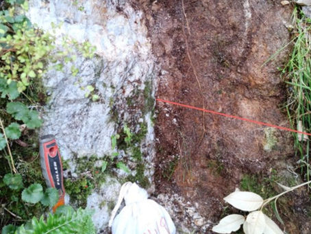 Critical Resources lights up NZ tungsten target with 16.6% hit