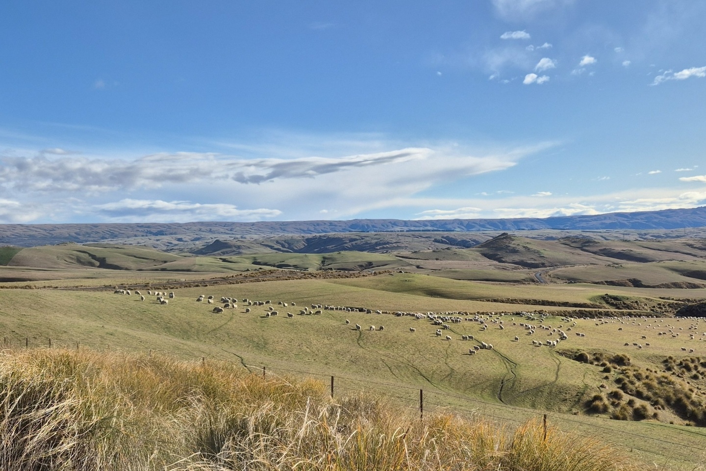 Critical Resources jags rich gold and fresh upside in NZ