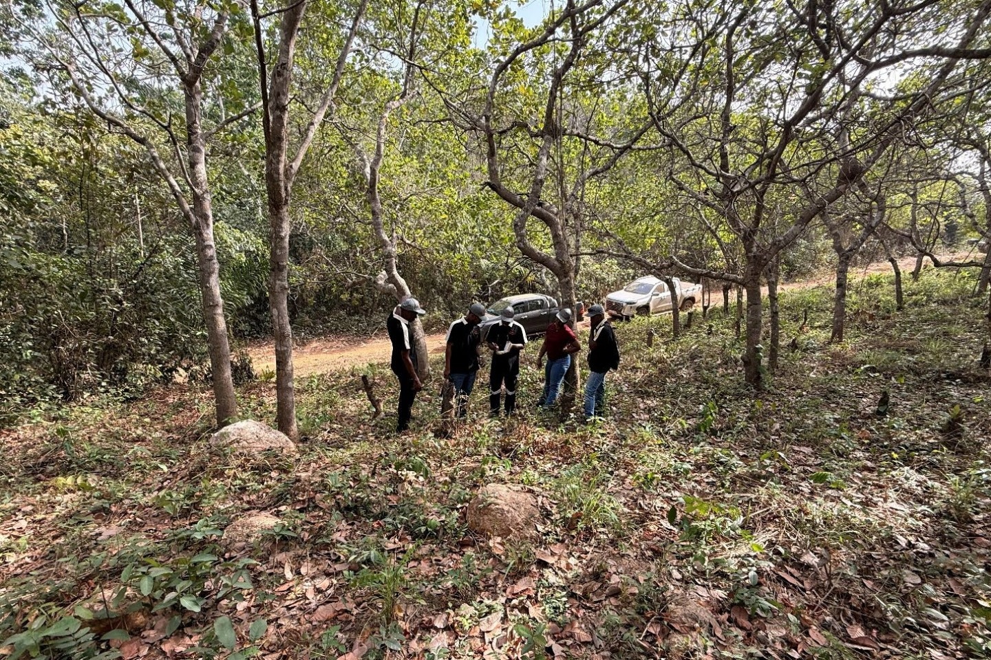 Dalaroo set for 20,000m West African gold drill