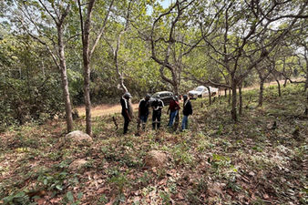 Dalaroo set for 20,000m West African gold drill