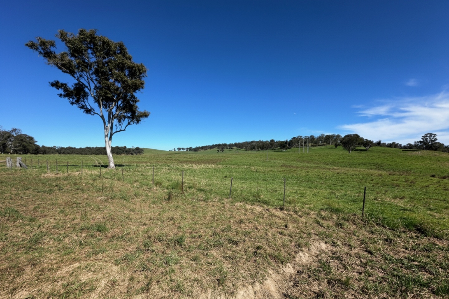 Xpedra adds more shallow gold punch at Springfield in NSW