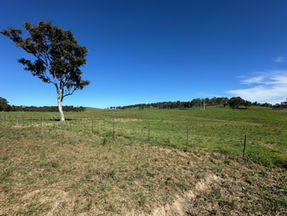 Xpedra adds more shallow gold punch at Springfield in NSW