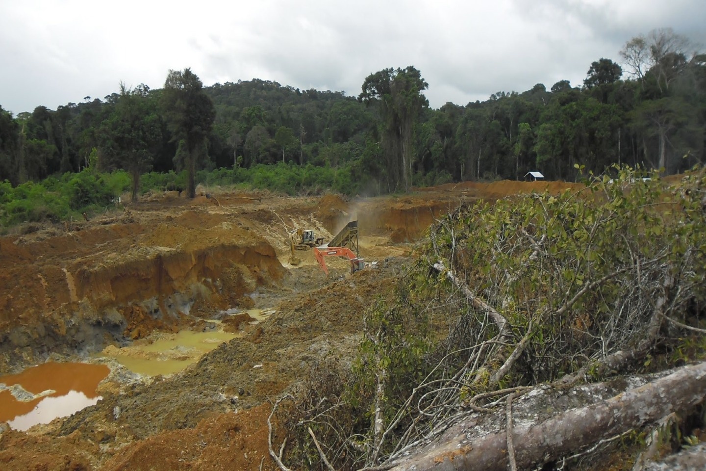 Critical Resources surges on first-mover Suriname gold grab