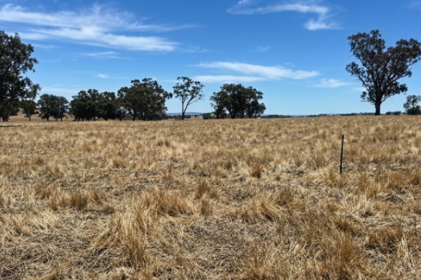 Xpedra drills deep, broad gold at growing NSW discovery