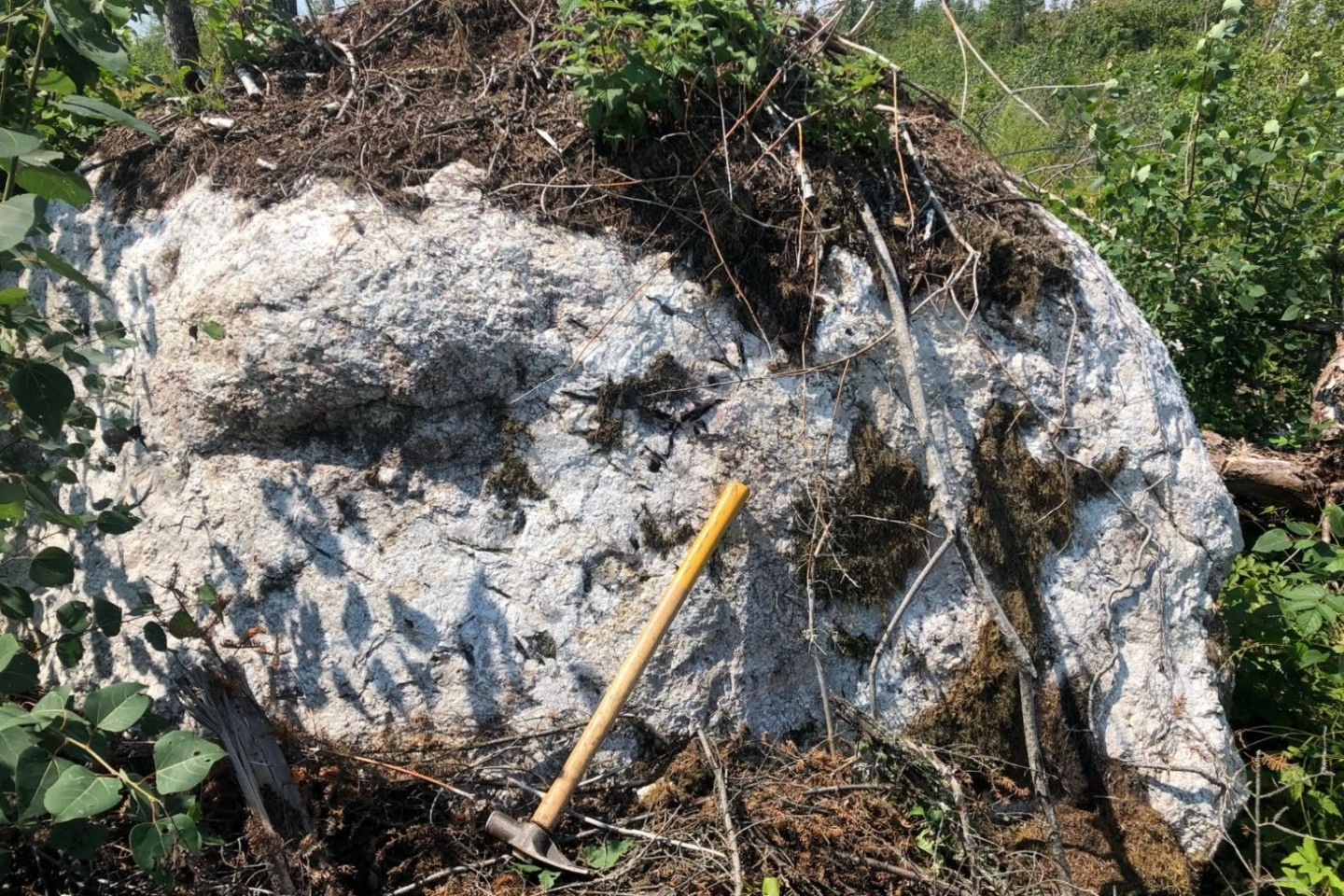 Geochem points Critical Resources towards next Canadian lithium prize