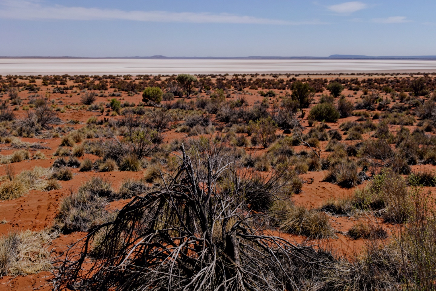 Toro hands WA uranium baton to IsoEnergy