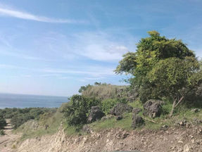 Estrella lands monster 621Mt resource at Timor-Leste limestone play