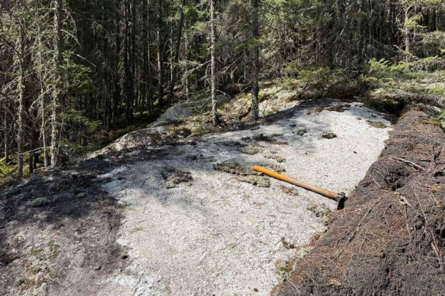 Critical hits multiple pegmatites in Canadian lithium blitz