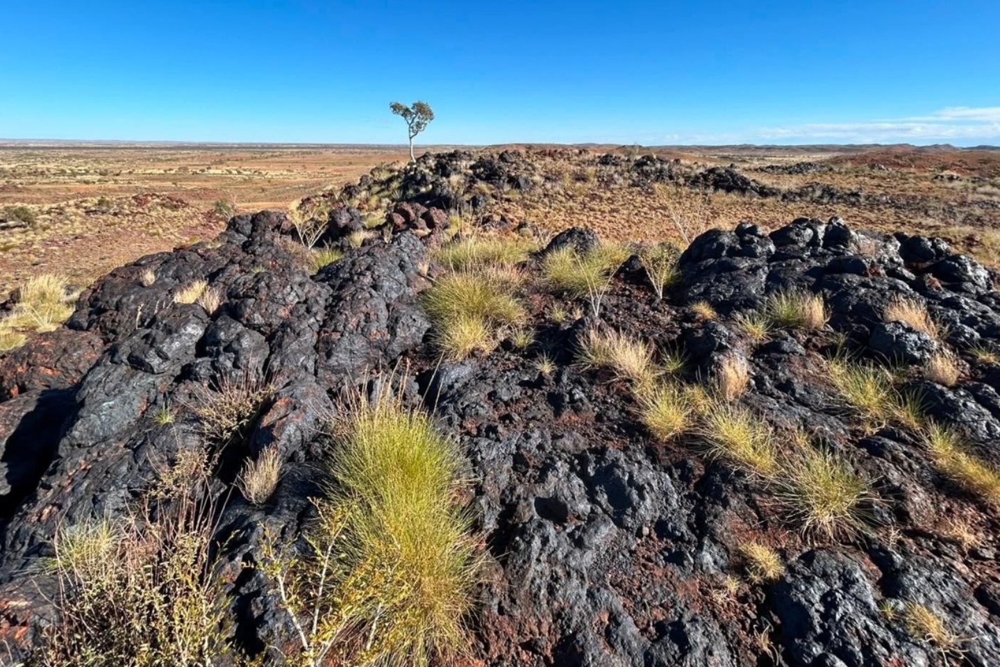 WA dual-threat Accelerate's gold and emerging manganese muscle