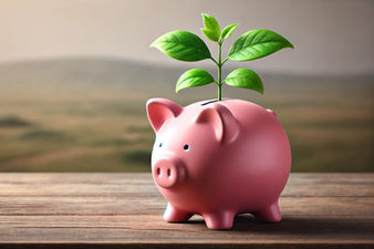 Raiz Invest scales automated investing platform for new generation