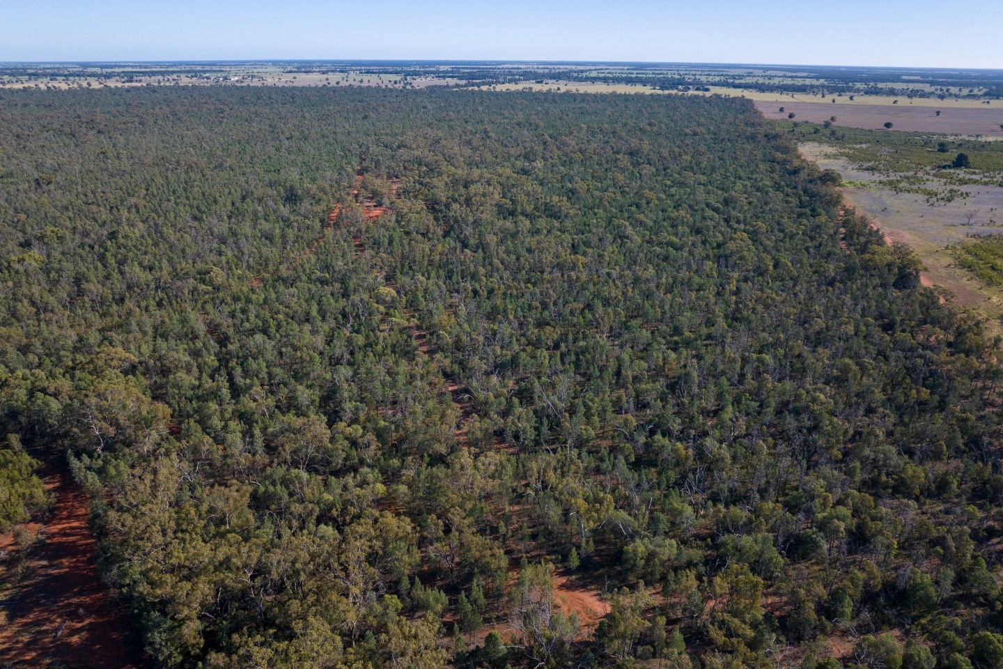Locksley gears up for major NSW copper-gold drilling push