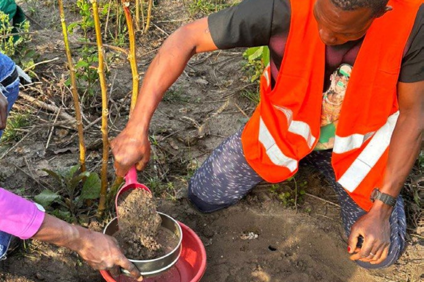 MetalsGrove lines up seven gold targets in West African drill blitz