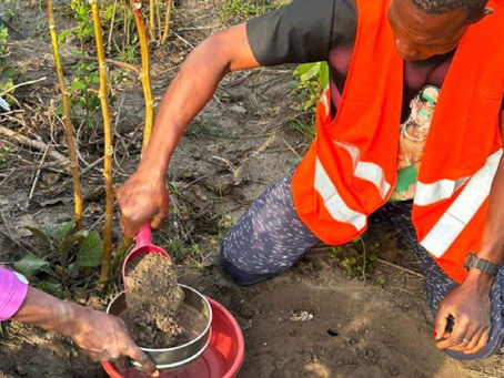 MetalsGrove lines up seven gold targets in West African drill blitz