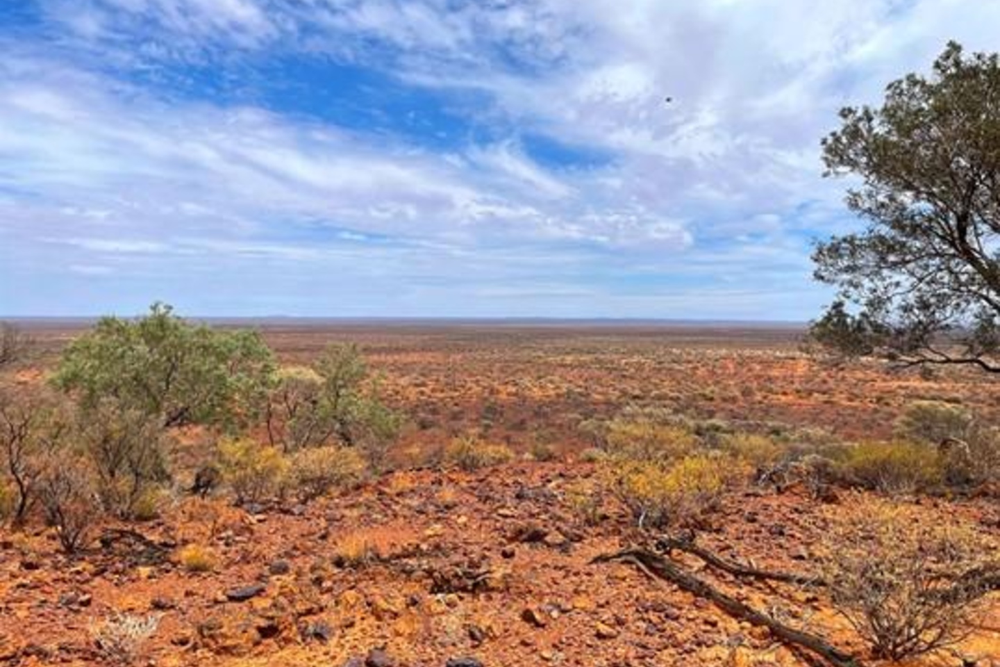 Premier1 zeroes in on untouched WA gold prize