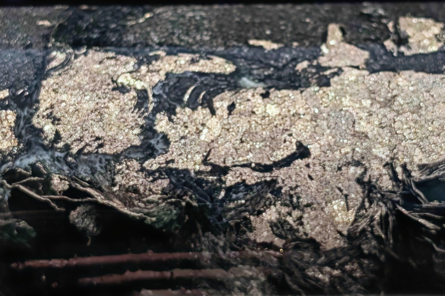 Western Mines nails richest nickel zone yet in WA eastern goldfields