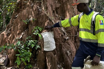 MetalsGrove locks onto giant West African gold system
