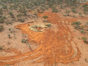 PLC kicks off drilling at Murchison gold target