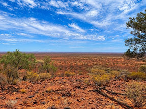 PLC Resources flies geophysics for gold as WA assays draw near