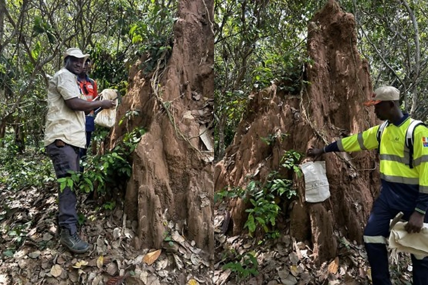 MetalsGrove lights up multiple Côte d’Ivoire gold corridors