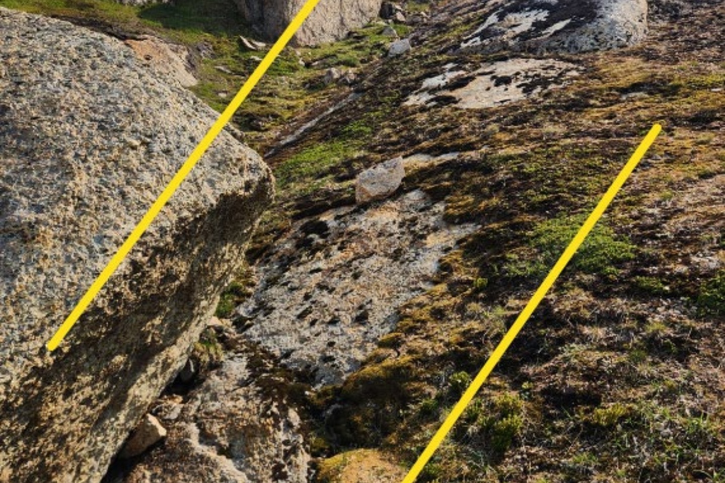 Dalaroo cracks geological code to Greenland rare earths