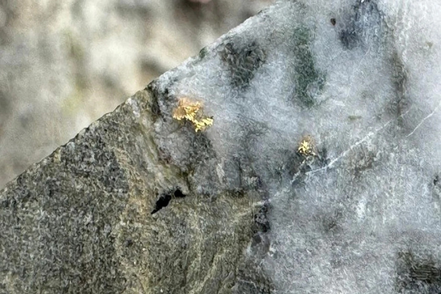 Advance 3D model sharpens hunt for repeat gold shoots in Victoria
