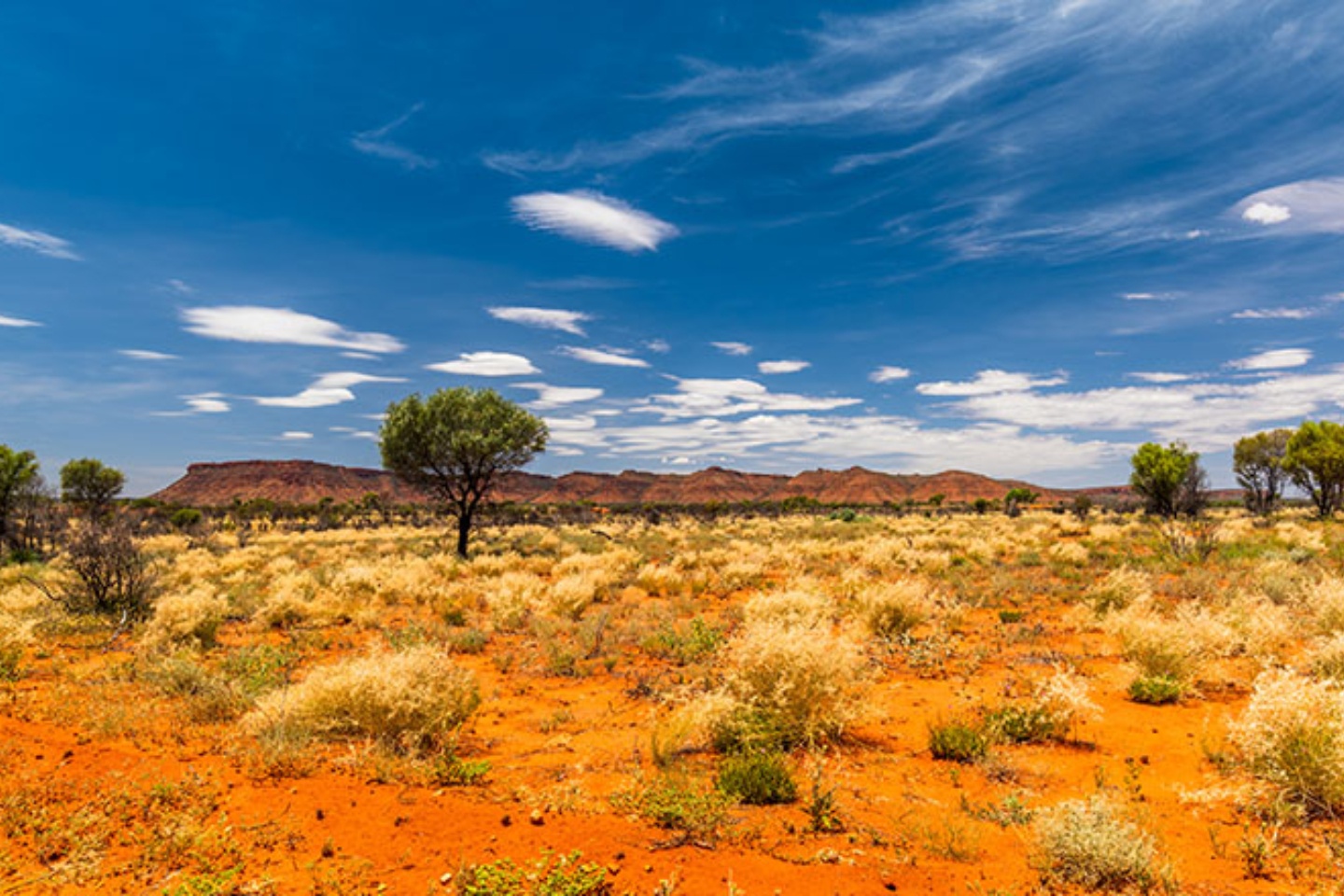 Premier1 uncovers emerging large-scale WA gold-base metal corridor