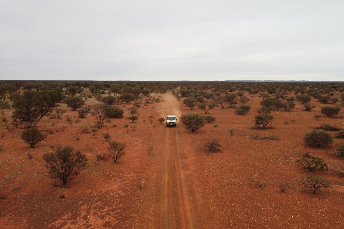 Gateway stretches WA gold discovery to whopping 4.5km