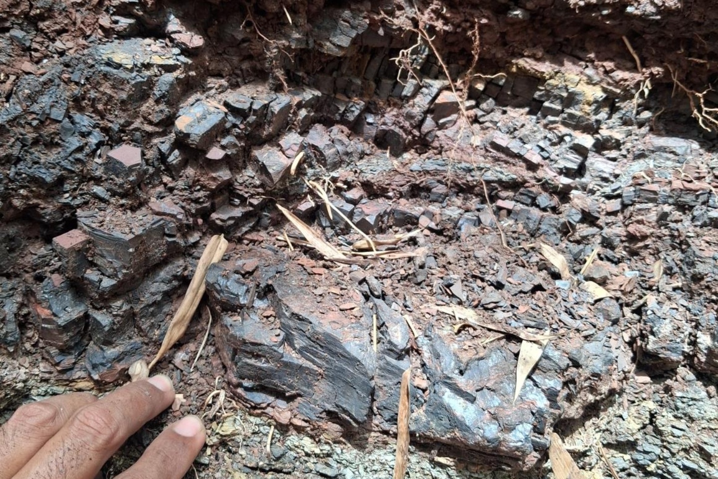 Estrella widens Timor-Leste manganese search with new rich hits