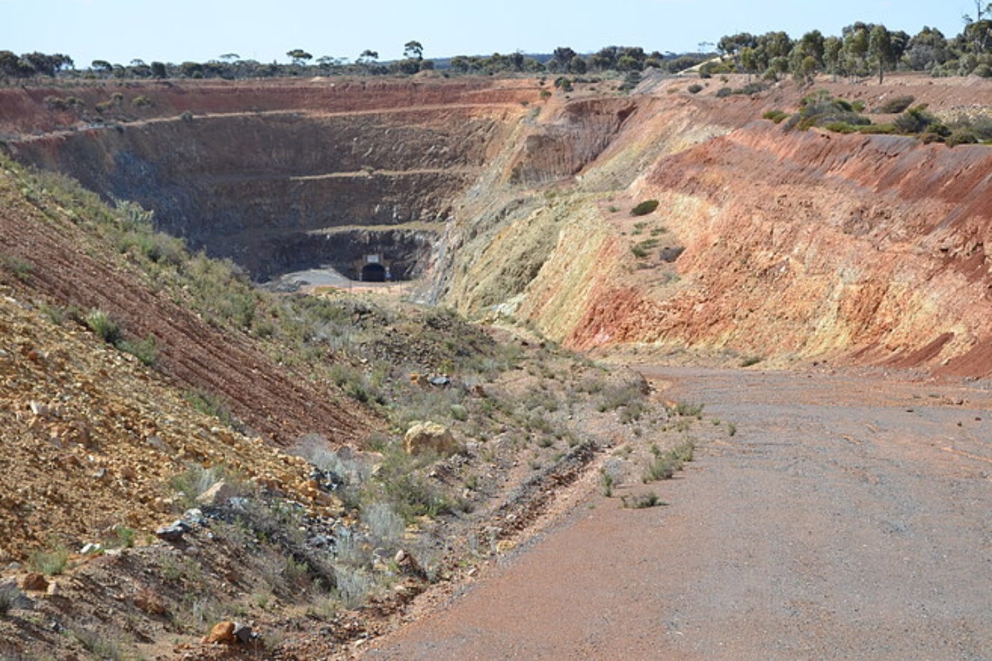 Forrestania lifts Lady Lyla grade in WA gold resource jump