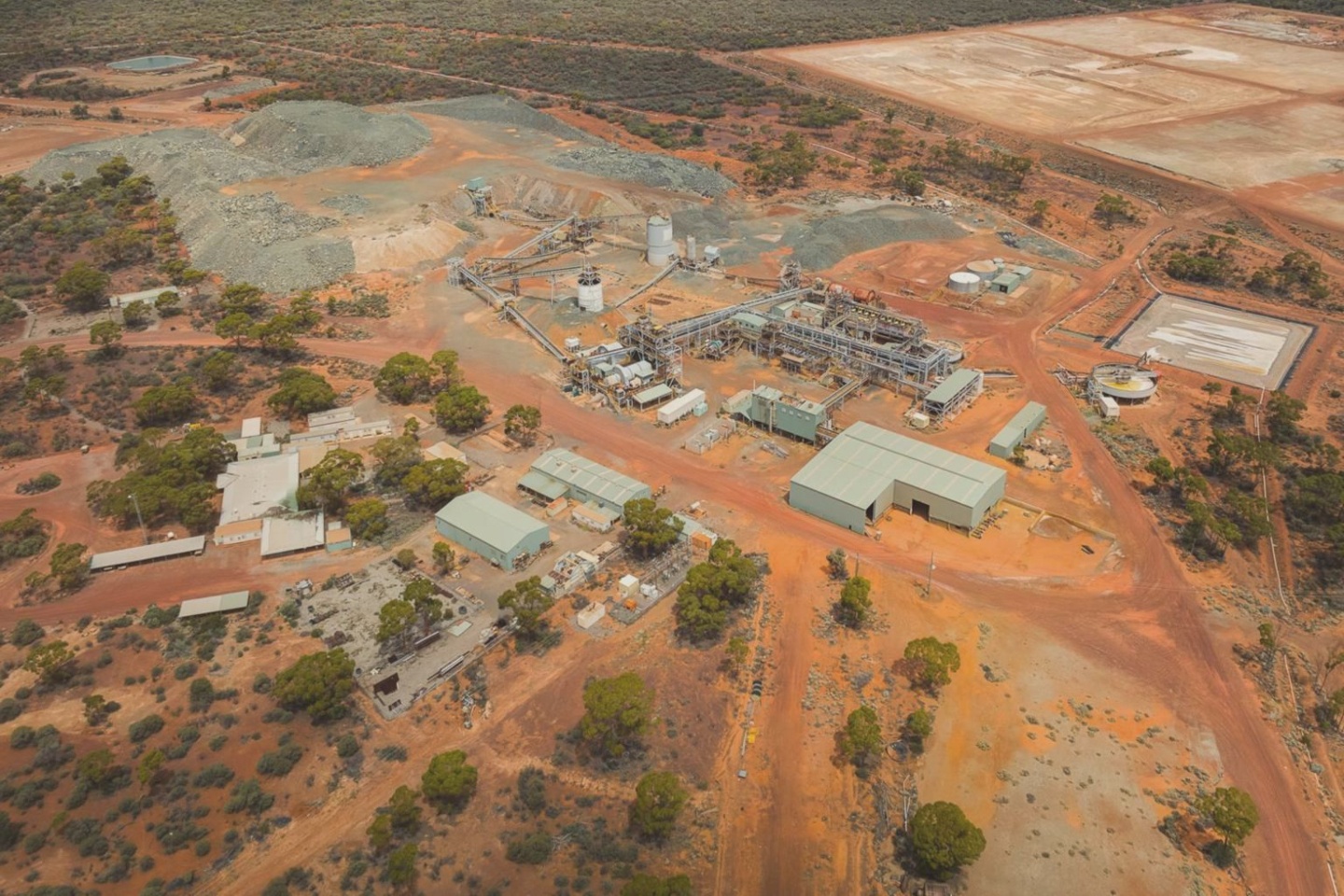 Maritana tightens grip on ground next to WA Black Swan gold hub