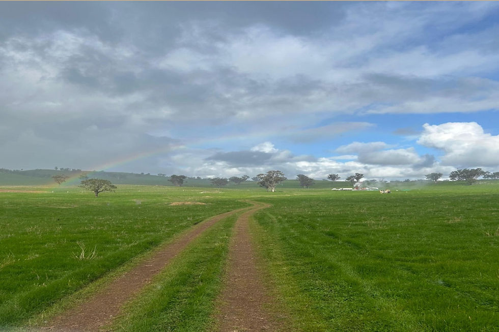 Xpedra widens hunt at emerging NSW gold discovery