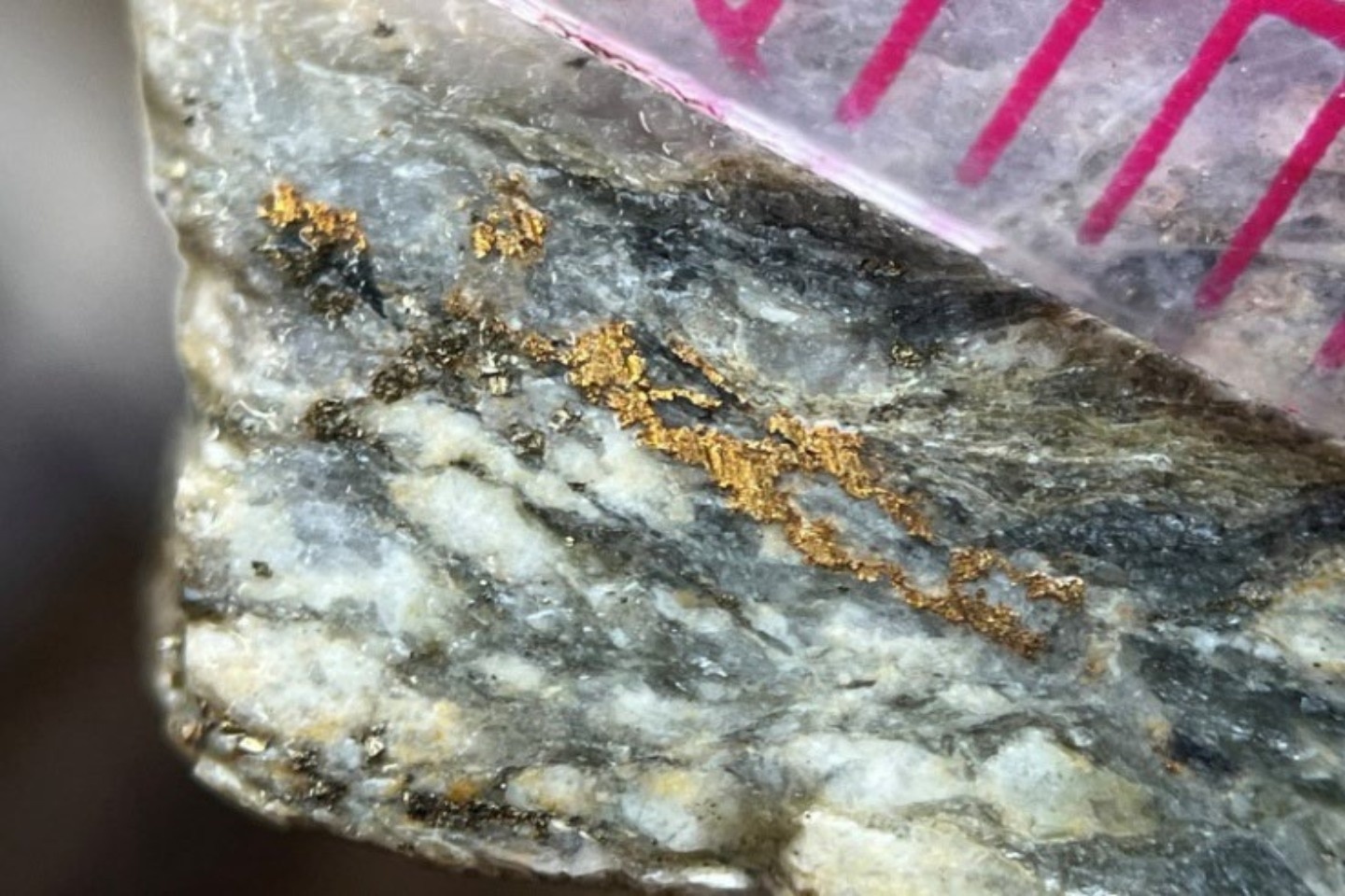 Old core flashes gold as Elk Range drill bit chases Idaho prize